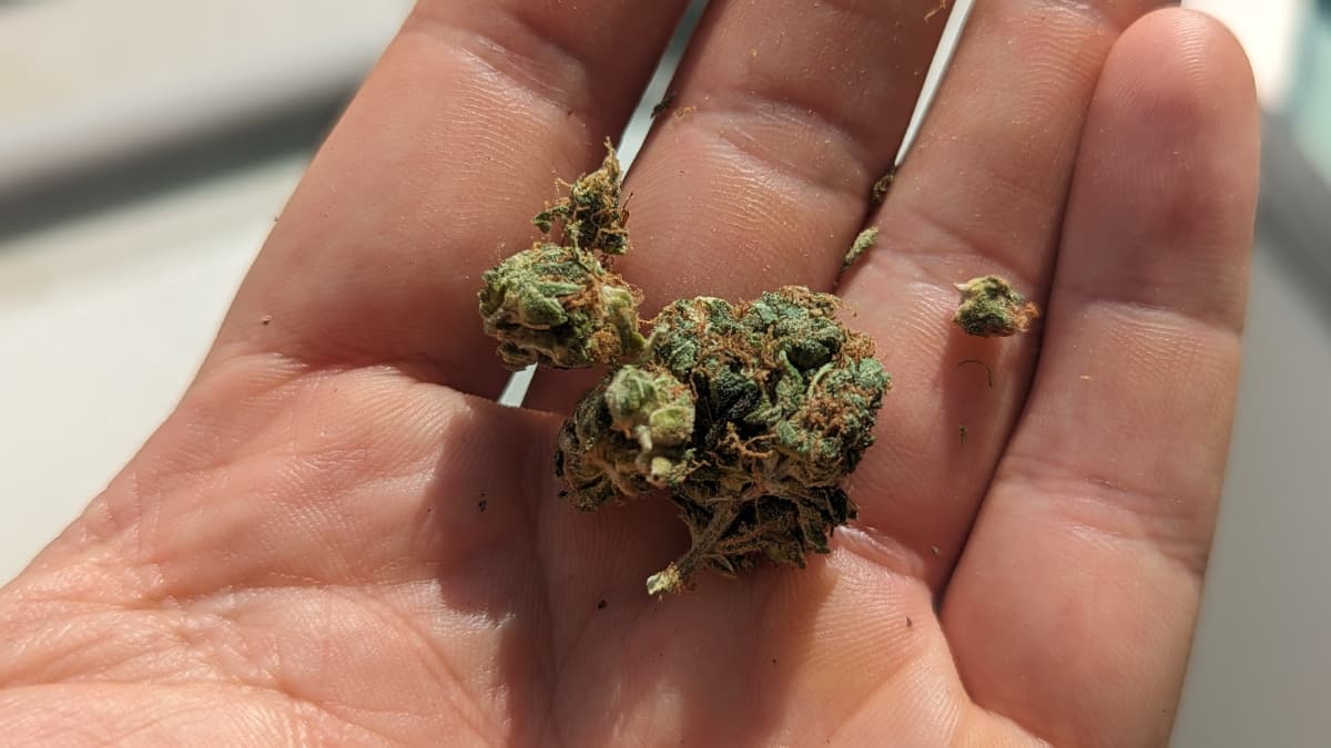 GDP Strain